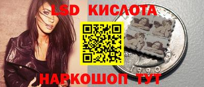 apvp Камышлов