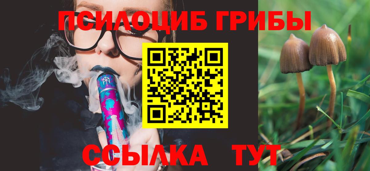 Галлюциногенные грибы Psilocybe  Вход с VPN  Качканар 