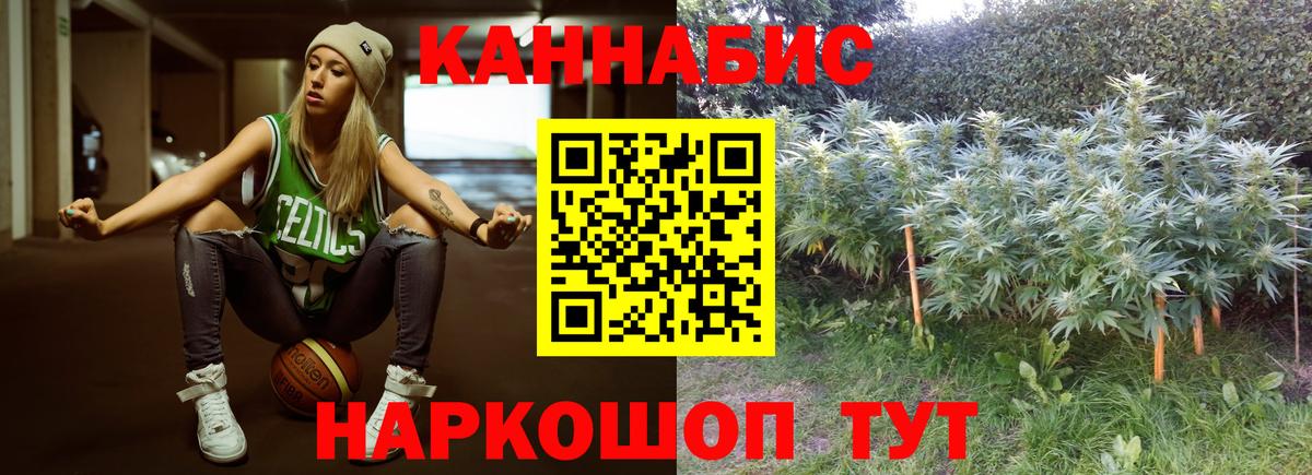 Бошки Шишки White Widow  Вход с VPN  Канабис планчик  Качканар  Канабис Ganja  Конопля семена 